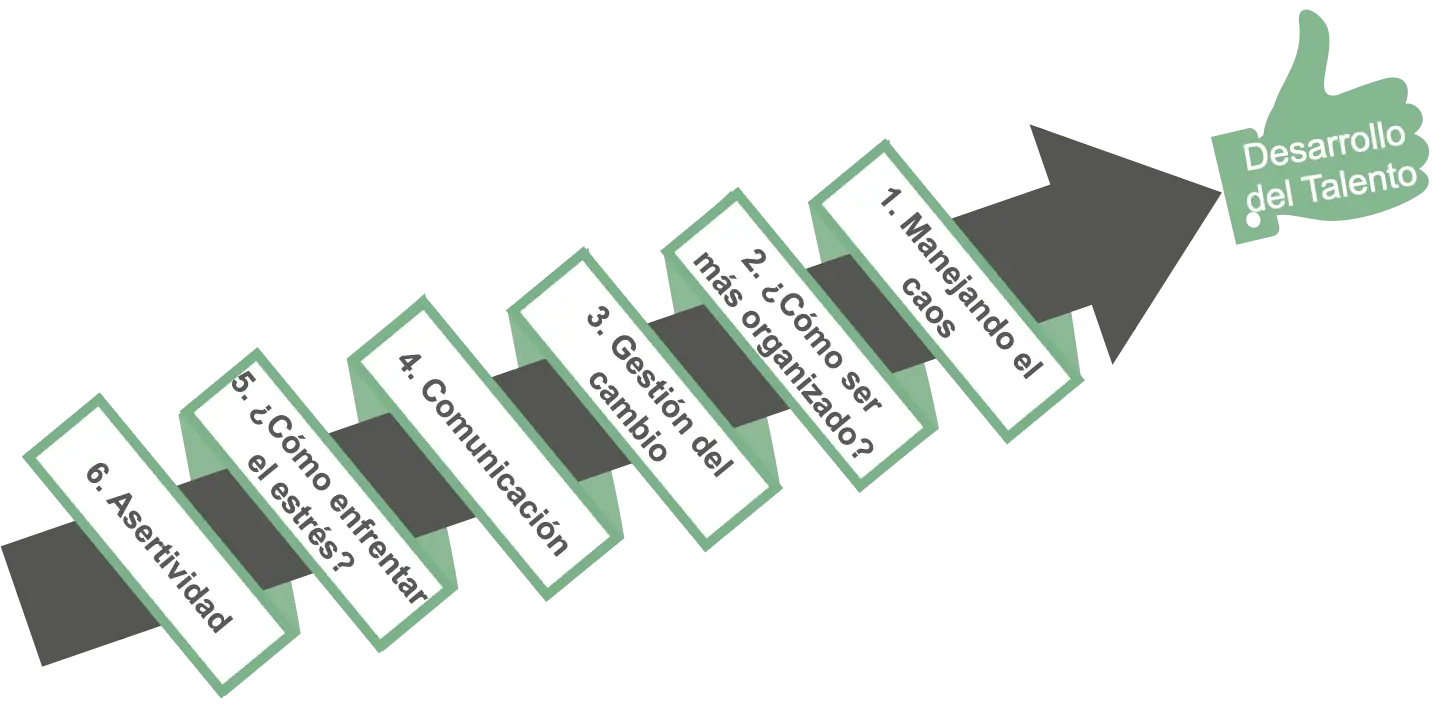 Desarrollo de Talento